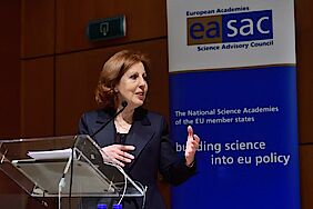 Maria da Graça Carvalho, European Commission